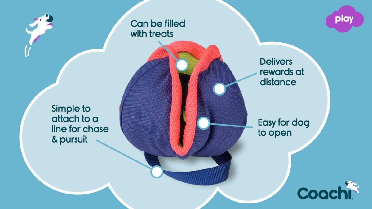 Coachi Chase & Treat Dog Training Toy - Bild 6