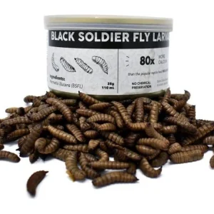 Canned Black Soldier Fly Larvae