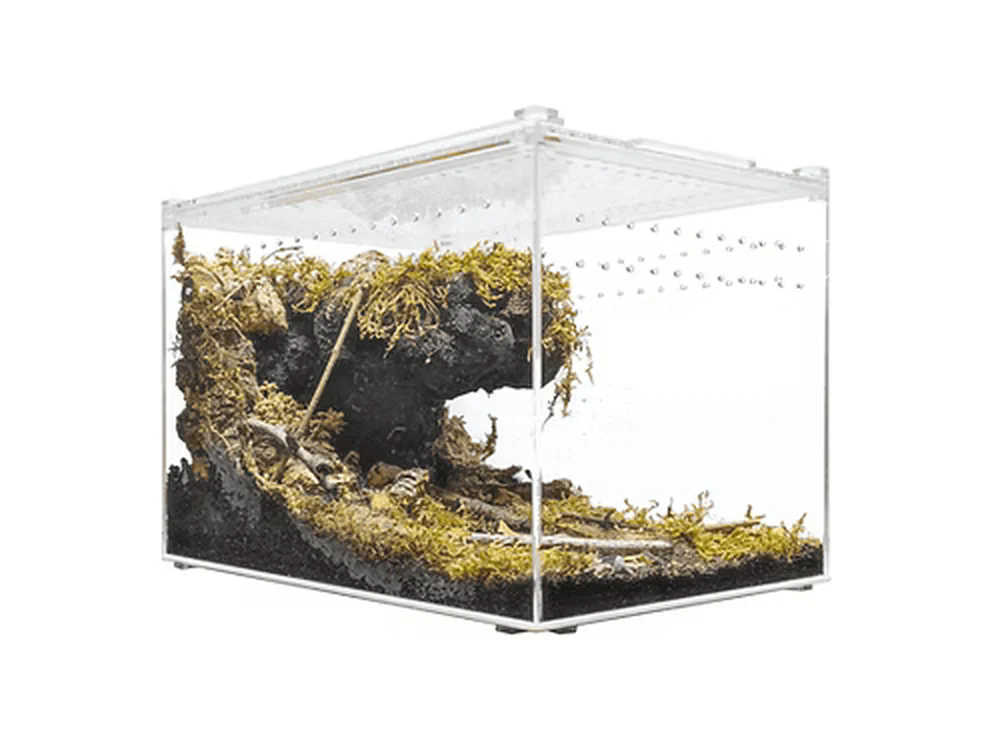 Herpcult Acrylic Enclosure Large Clear Top 12"x8"x8"