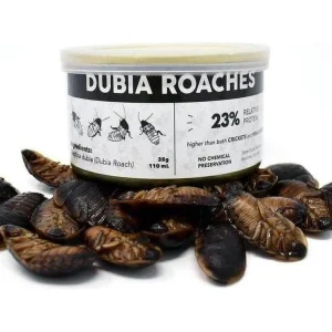 Canned Dubia