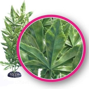 Weco Products Dream Series Hash Aquarium Plant Green, 1ea/12 in