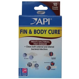 API - FIN & Body Cure