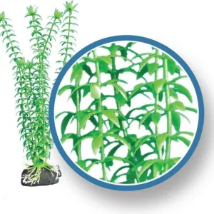 Weco Products Freshwater Pro Series Tonina Aquarium Plant Green, 1ea/9 in