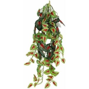 Pangea Hanging Bush Caladium (24inch)